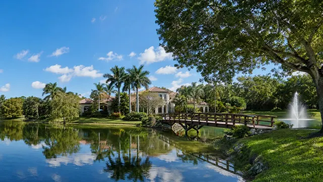 A lake among palms and family homes on a bright morning.