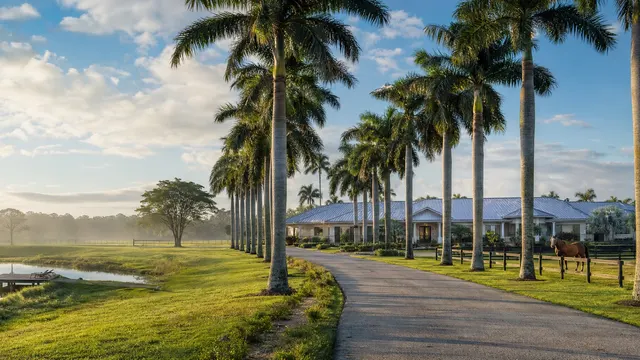 A palm-lined drive to a ranch home, horses in the paddock.
