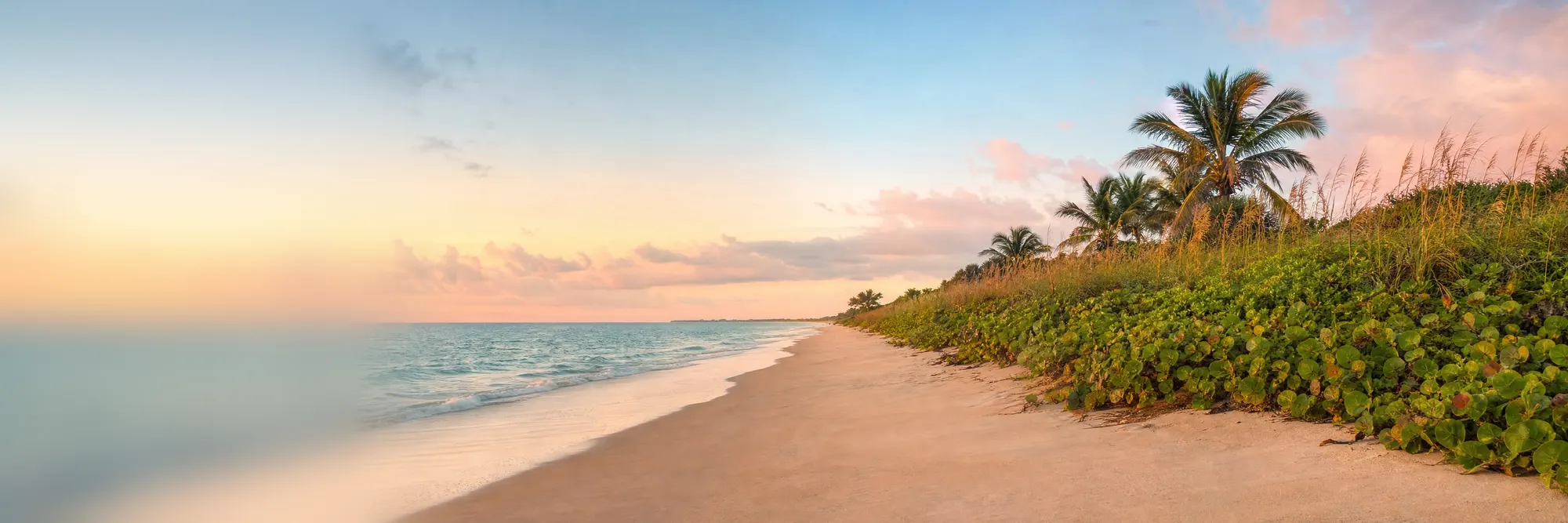 An empty beach and its sea-grape dunes at sunrise.