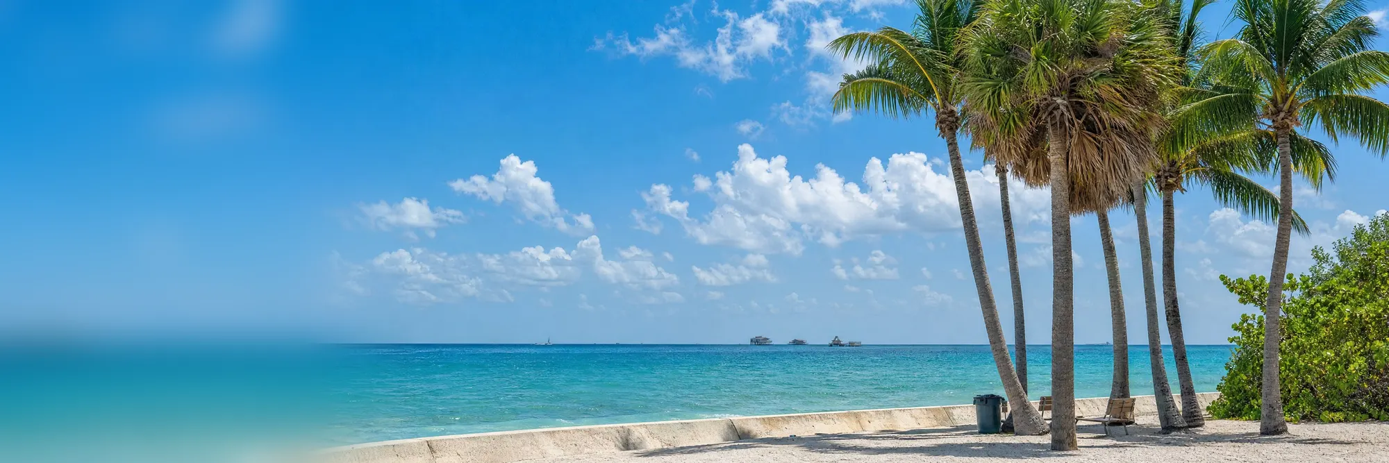 Palms over the turquoise water at Cape Florida, Key Biscayne.