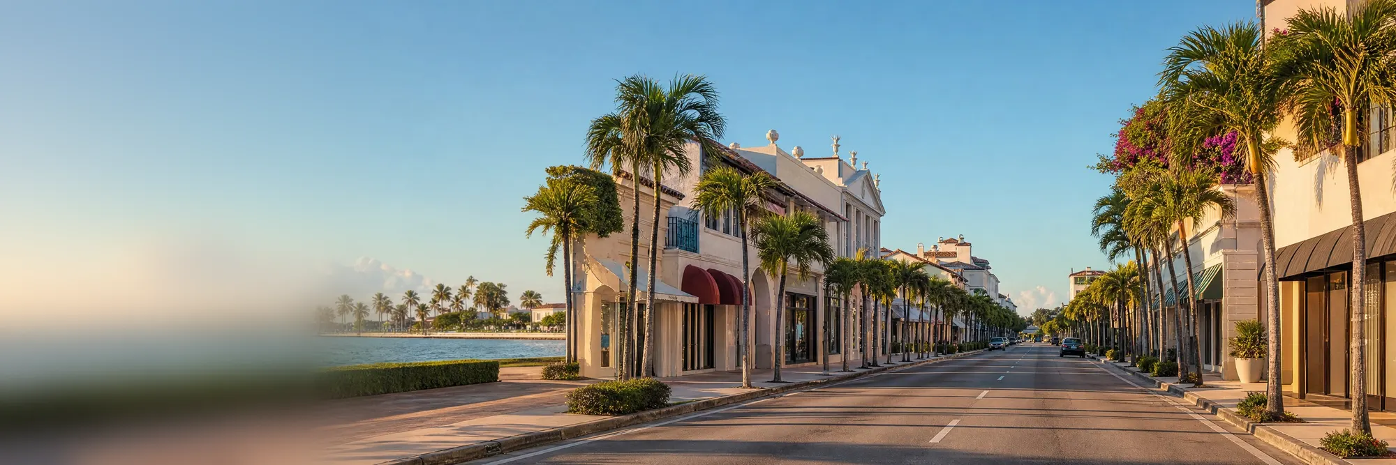 A palm-lined shopping street in Palm Beach in the late-afternoon sun.