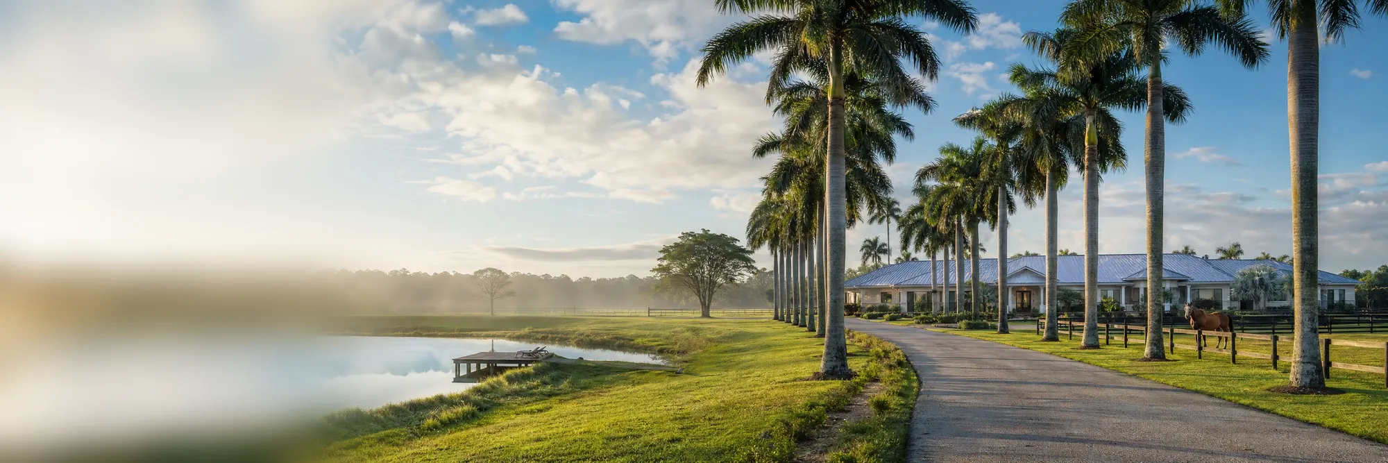 A palm-lined drive to a ranch home, horses in the paddock.