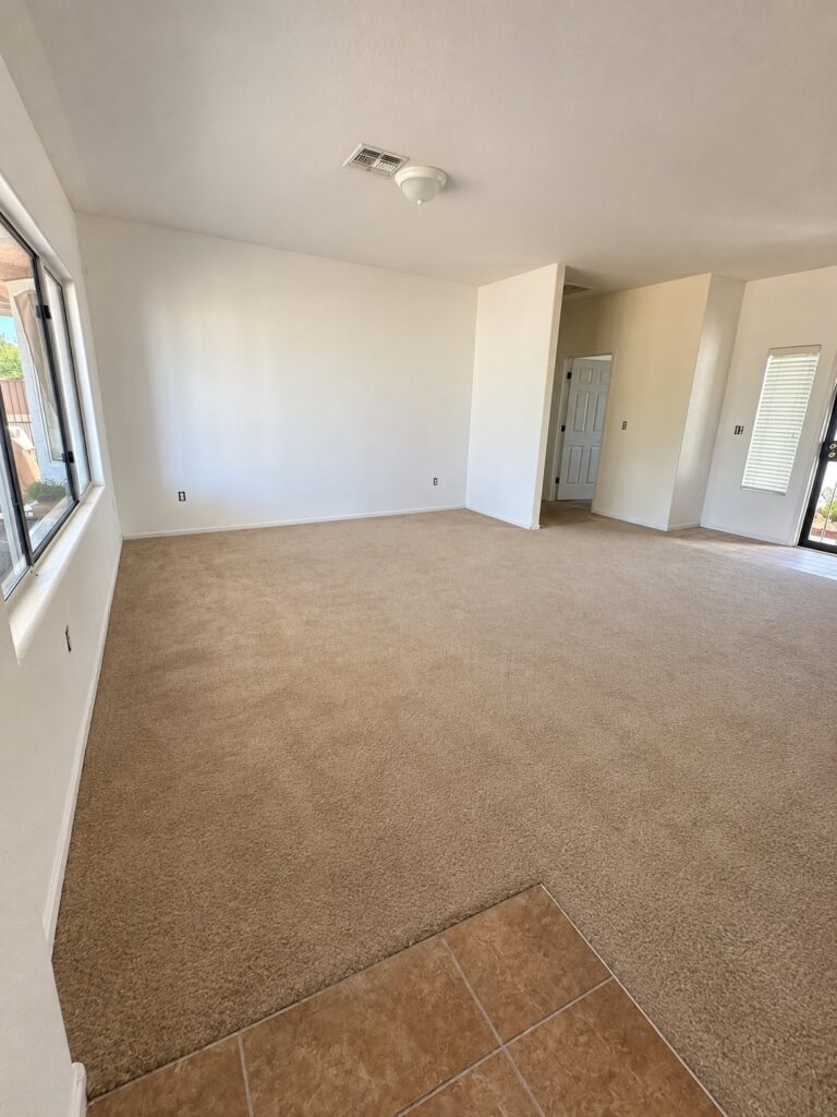 Before: Living Room Flooring & Fireplace Wall
