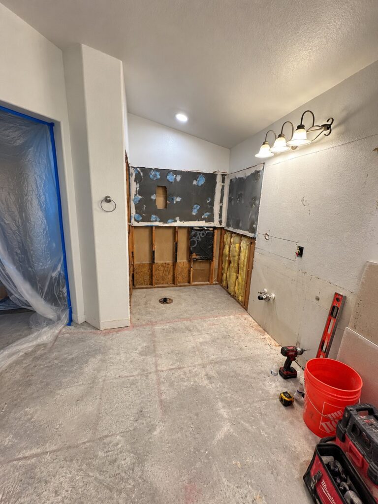 Before: Primary Bathroom Remodel