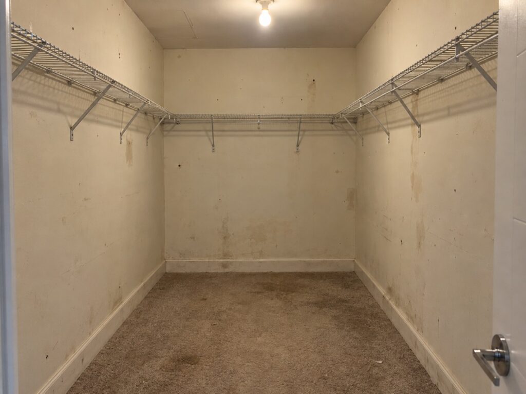 Walk-In Closet Built-Ins - before