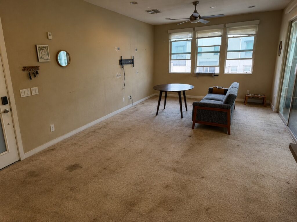 Before: Living Room Flooring & Slat Wall