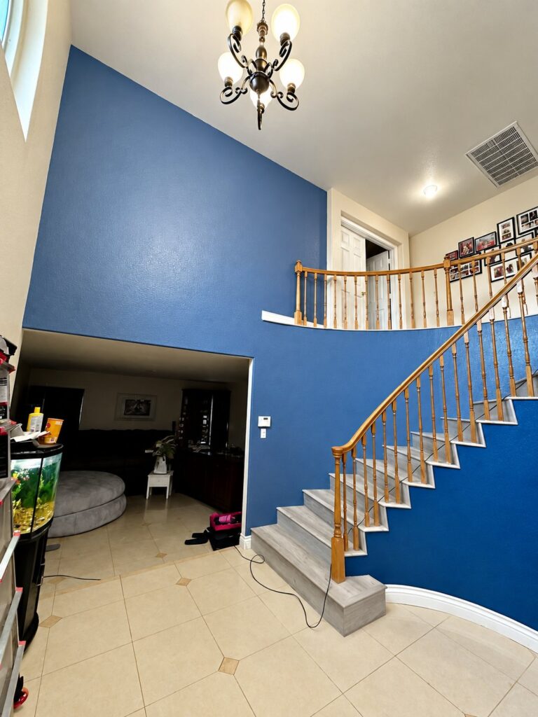 Stair hall with a smooth blue feature wall